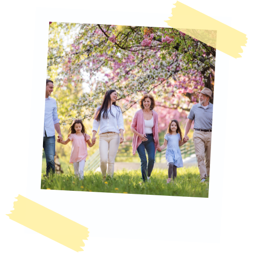 Réunion famille biographie